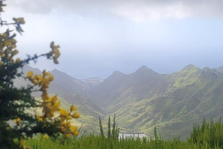 Panoramic hike in the Anaga Mountains Small group 10 people