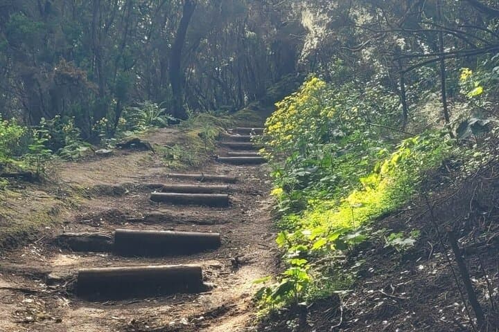 Panoramic hike in the Anaga Mountains Small group 10 people