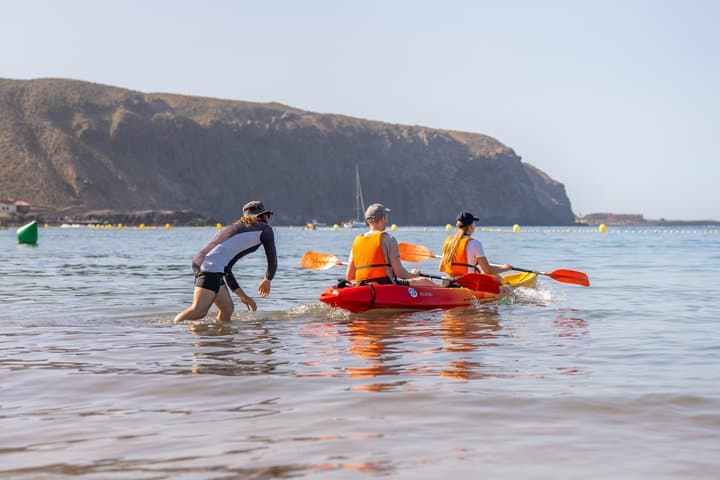 Tenerife: Small-Group Kayak & Snorkel Tour with Marine Fauna