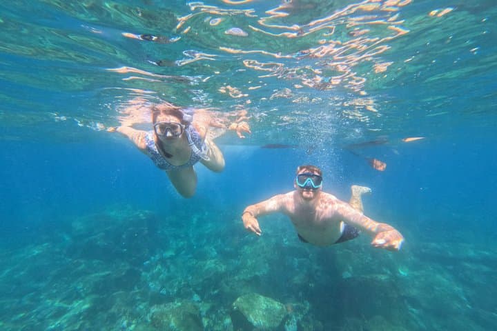 Tenerife: Small-Group Kayak & Snorkel Tour with Marine Fauna