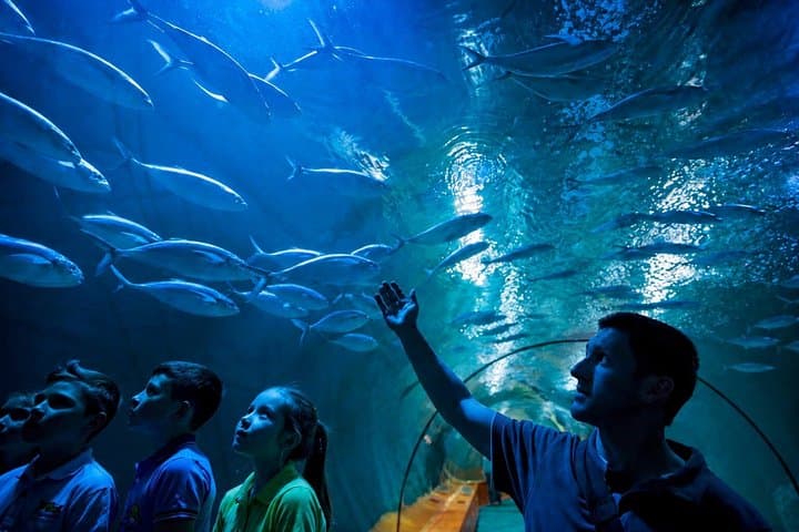 Valencia Art Nouveau Private Tour with Oceanografic Option