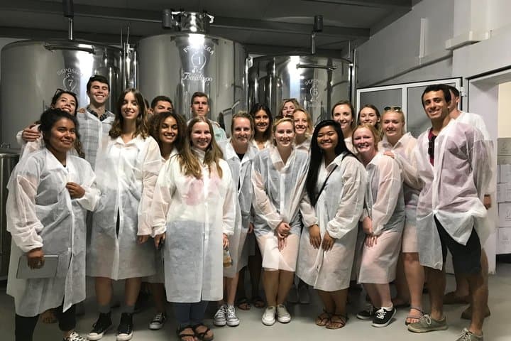 English Olive Oil Tour in Seville