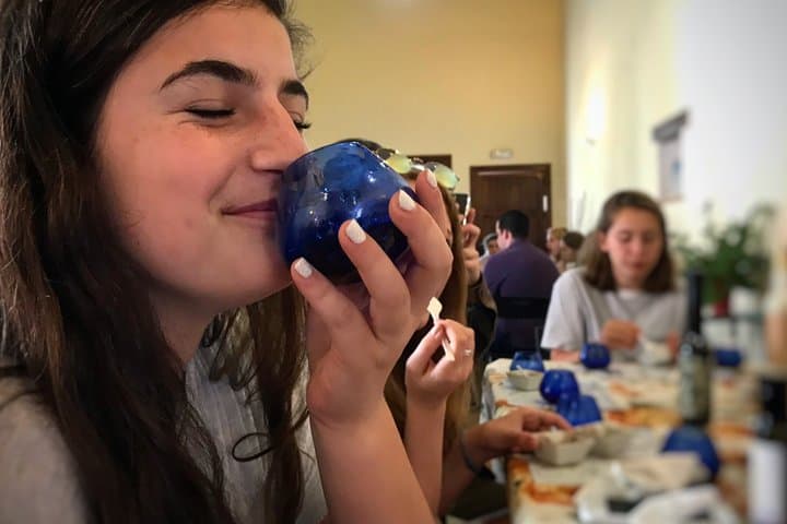 English Olive Oil Tour in Seville