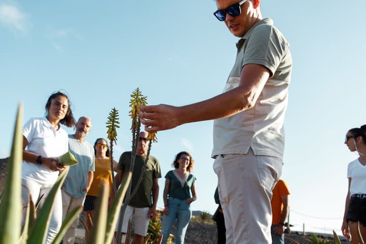 Fuerteventura Organic Farm: Aloe Vera & Olive Oil Tasting