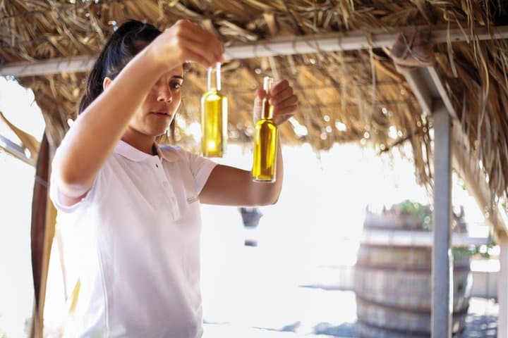 Fuerteventura Organic Farm: Aloe Vera & Olive Oil Tasting