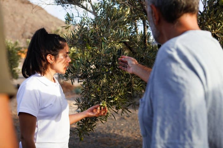 Fuerteventura Organic Farm: Aloe Vera & Olive Oil Tasting