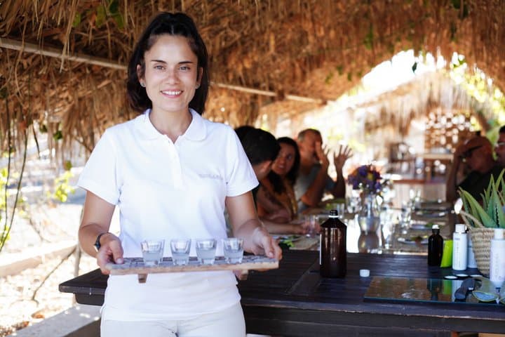Fuerteventura Organic Farm: Aloe Vera & Olive Oil Tasting