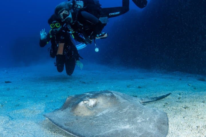 PADI Open Water Scuba Diving Certification Puerto Colon