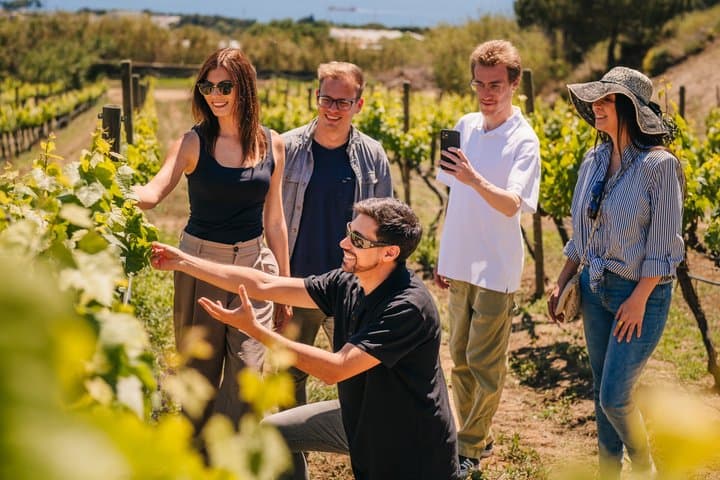 Barcelona Helicopter Flight, Winery Tour & Optional Sailing Trip
