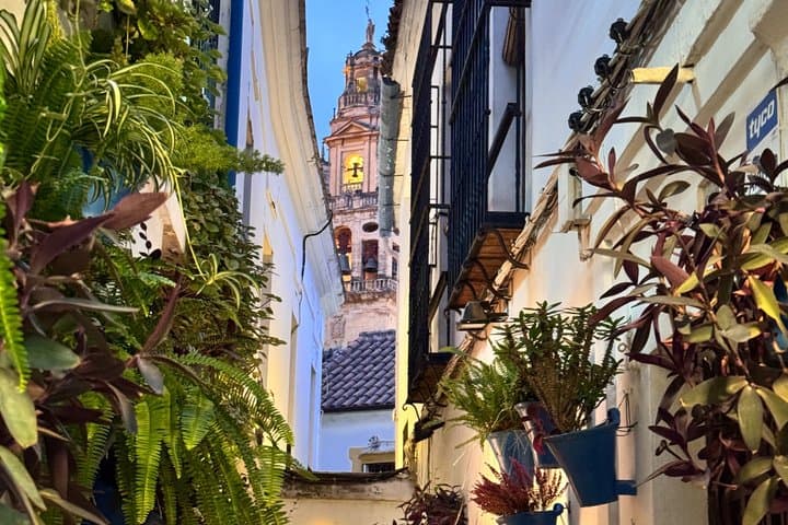 Private Day Trip from Cadiz to Cordoba