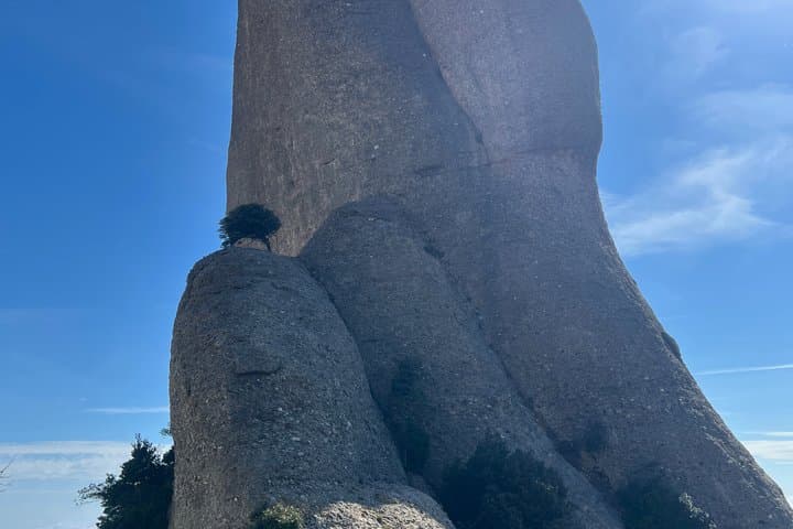 Cavall Bernat by the Normal and Classic Way of Montserrat