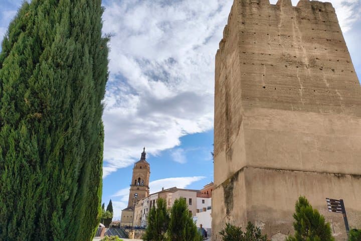 Guadix : Tour of the Roman Theatre and the Alcazaba