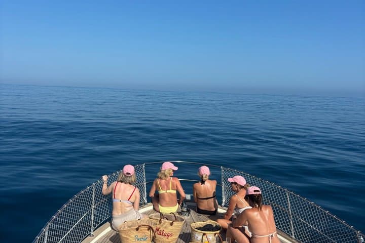 Dolphin Watching in Estepona Le Flot Riant