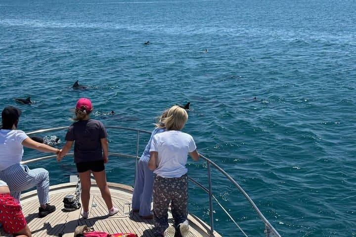 Dolphin Watching in Estepona Le Flot Riant