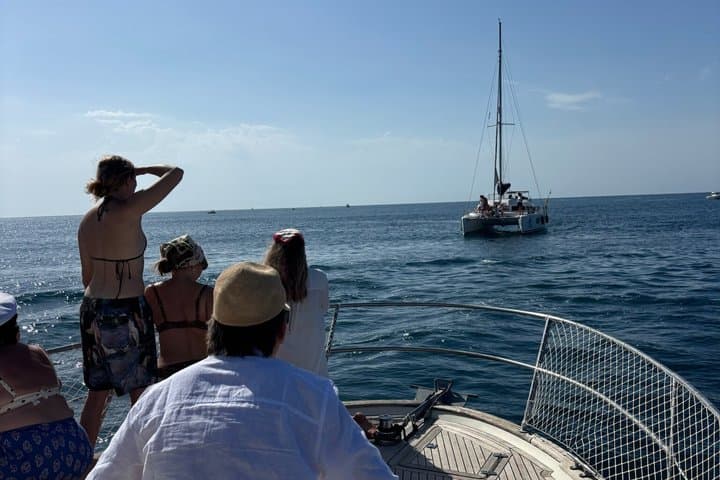 Private Yacht Tour of Estepona Dolphins Bath and Relax