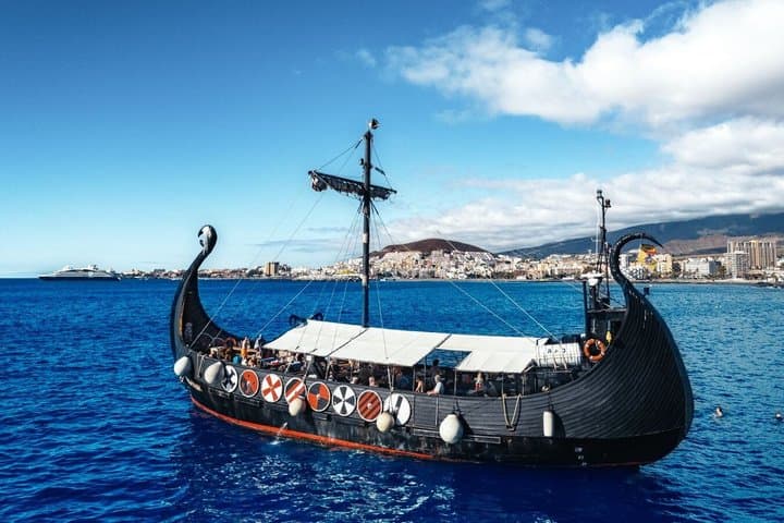 3h Viking Cruise with Drinks, Whale Watching and Swimming Time