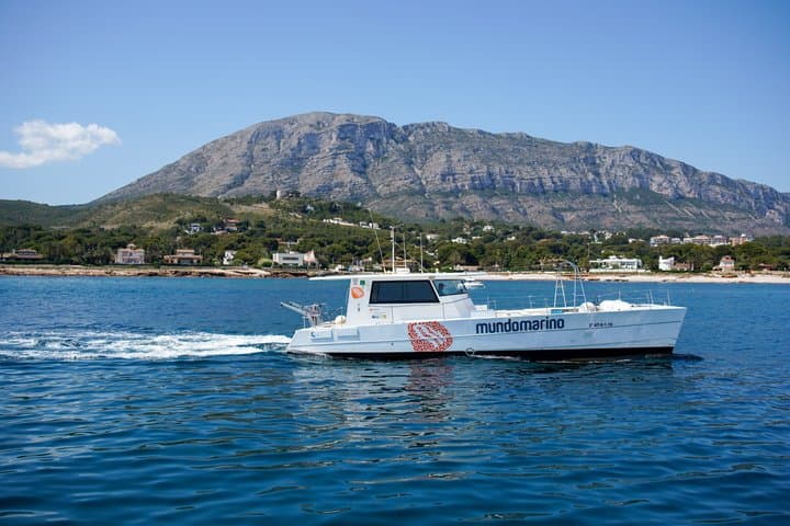 Excursion to the Cova Tallada with optional swimming stop Denia