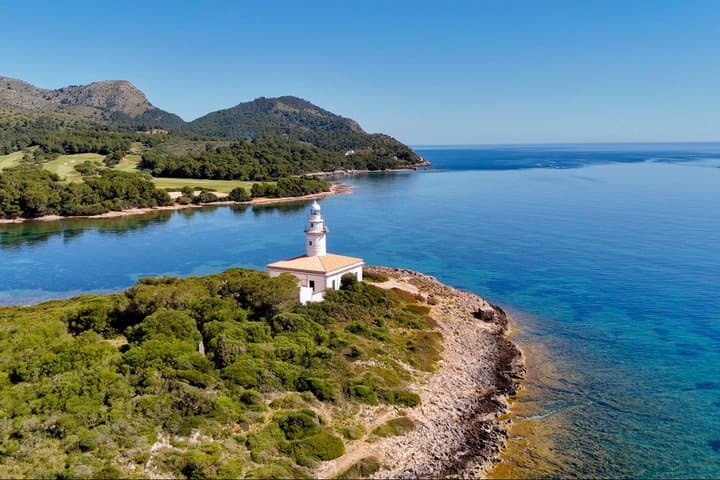 Mallorca Alcudia Private Boat Tour to the Lighthouse Island