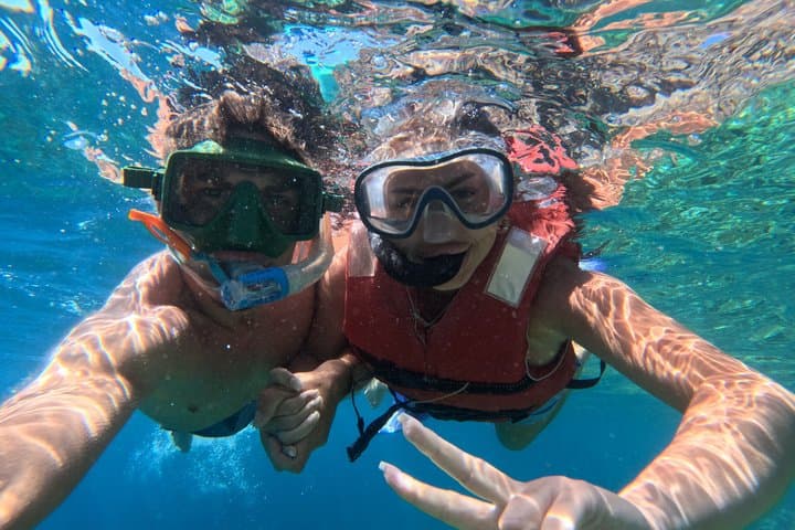 Kayak & Snorkel Safari: Look for Dolphins & Turtles in Tenerife