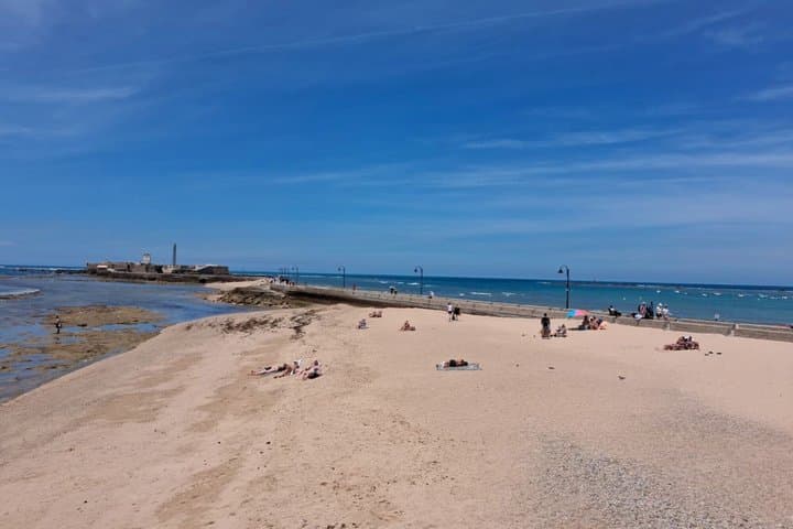 Tour of the Castles and Caleta Beach