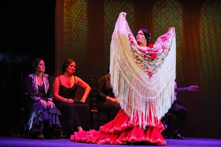 The Premium Experience at Teatro Flamenco Granada