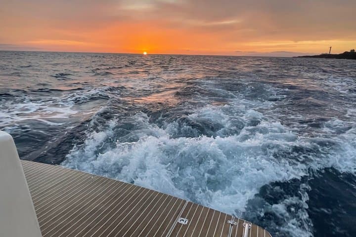 Tenerife Sunset Private Cruise Whale Watching and Swim Stop