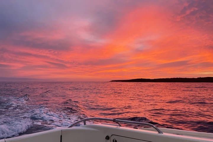 Tenerife Sunset Private Cruise Whale Watching and Swim Stop