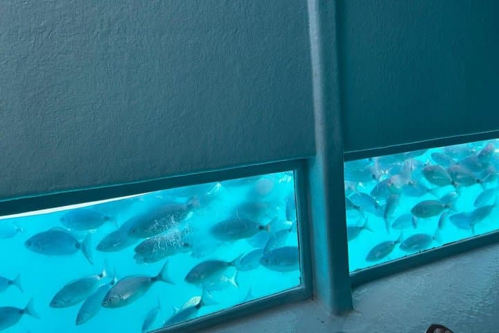 NEW 6 Meters Slide Swimming & Submarine Vision.