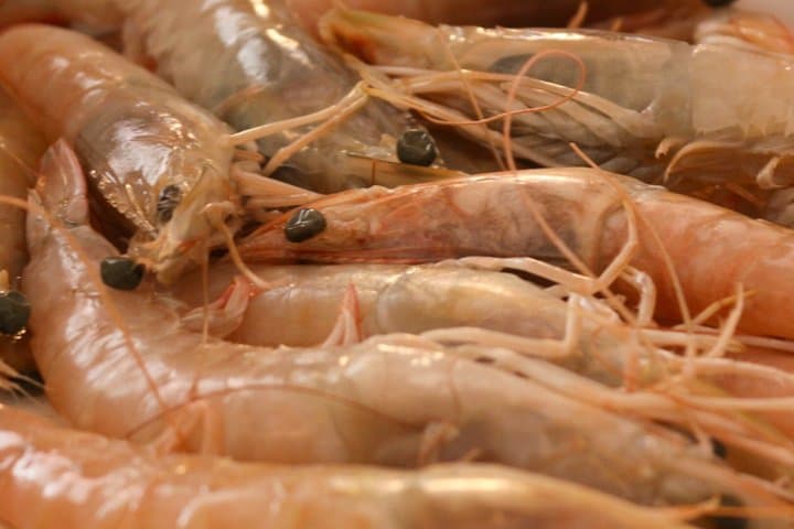 Food experience: Tapas, Paella and Wine Pairing
