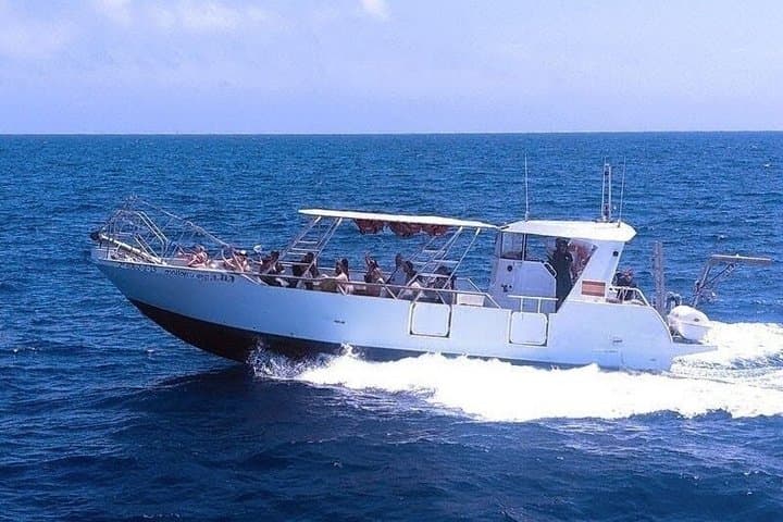 Mallorca Explorer Cliff caves and coves by boat