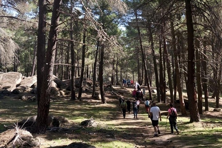 Las Navas del Marqués Hiking and Cultural Tour