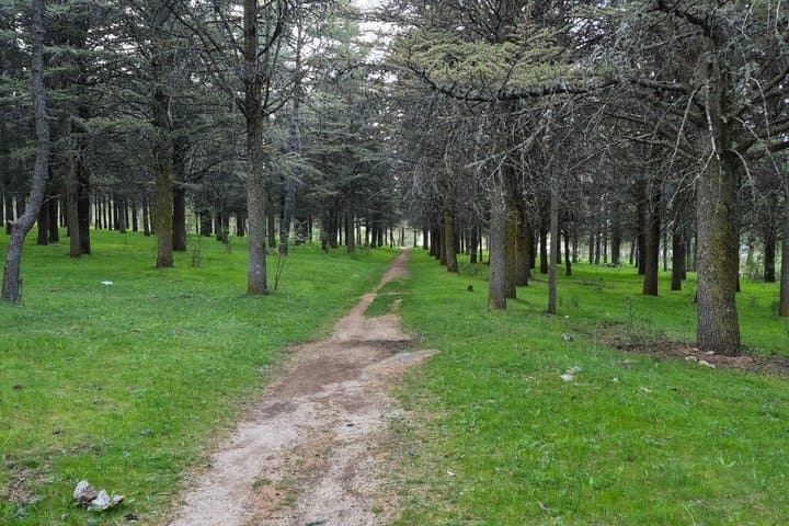 Las Navas del Marqués Panoramic E-Bike Route