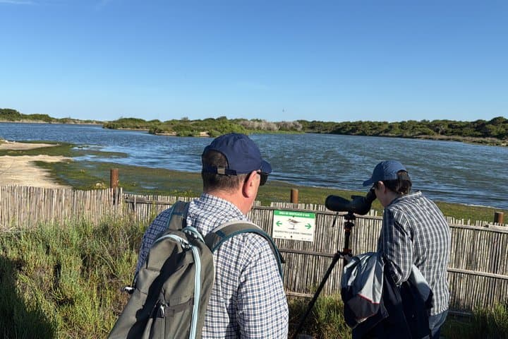 Albufera de Valencia Boat Trip and Mediterranean Forest