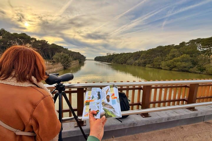 Albufera de Valencia Boat Trip and Mediterranean Forest