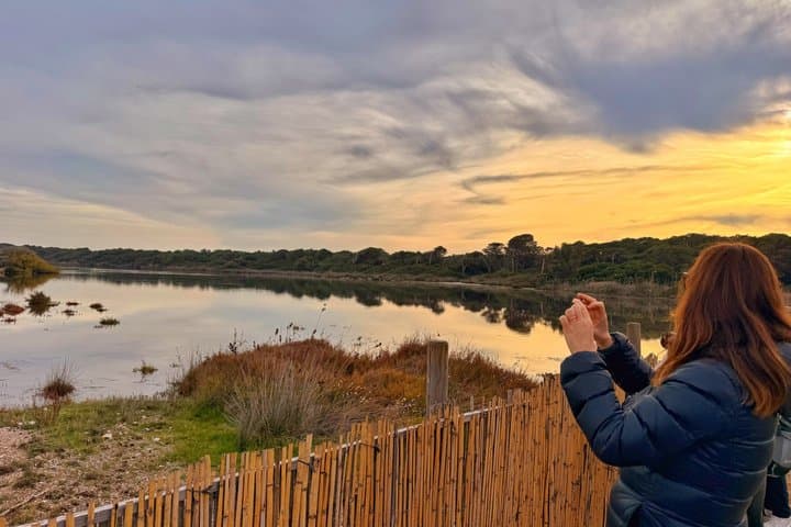 Albufera de Valencia Boat Trip and Mediterranean Forest