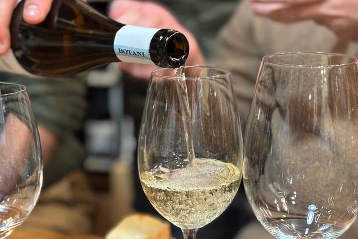 Marbella City Highlights Tour with Wine and Olive Oil Tasting