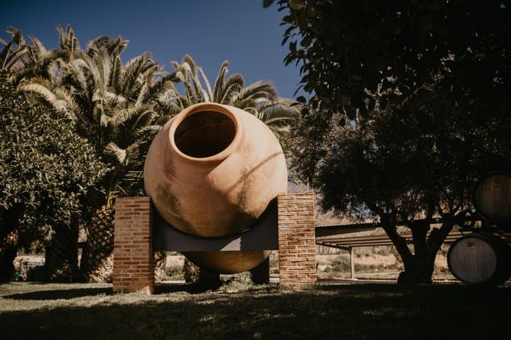 Alicante Winery Small Group Tour with Wine Tasting