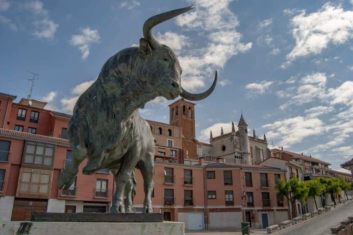 Hello Valladolid: Private 2-Hour Intro City Walk with Local Guide