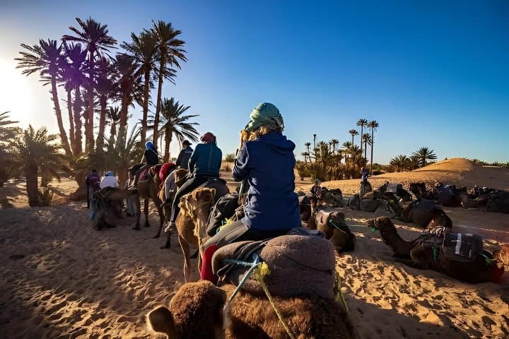 VIP Tangier Day Experience from Seville
