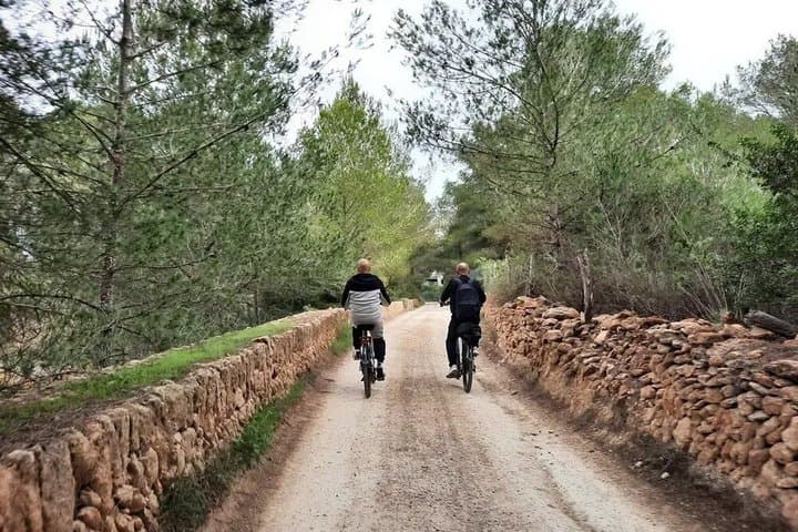Discover the Charm of St. Gertrudis by E Bike