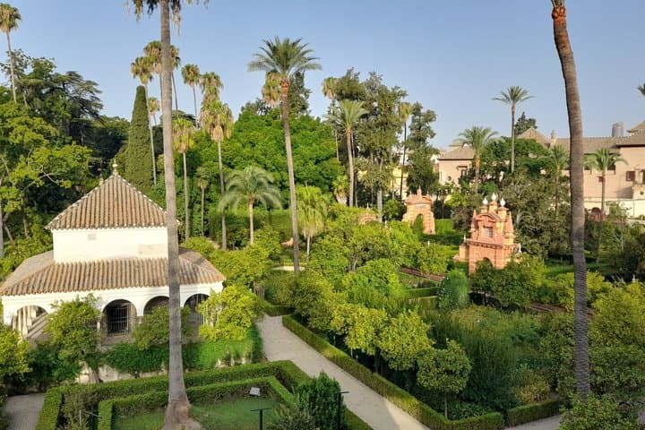 Guided Tour of Cathedral and Alcazar of Seville