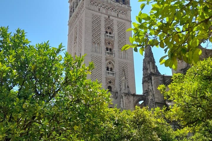 Guided Tour of Cathedral and Alcazar of Seville