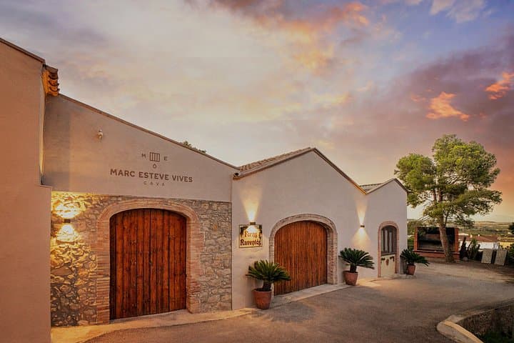 Private Wine Tasting Tour Near Barcelona Half Day