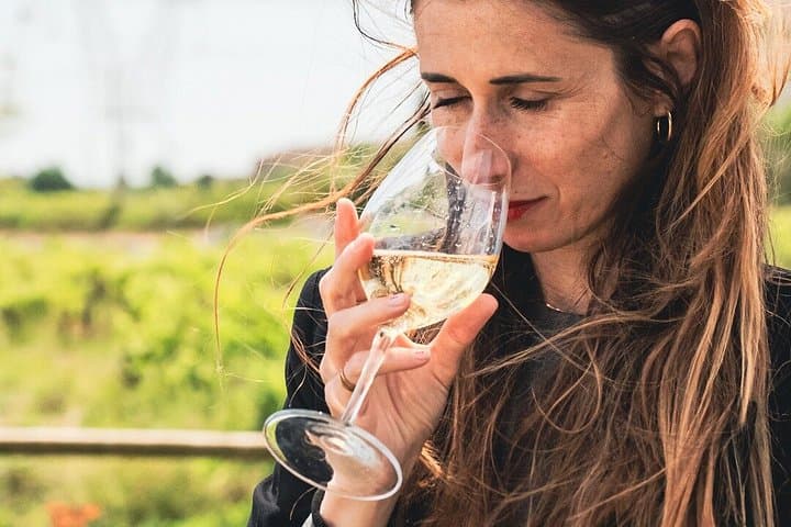 Private Wine Tasting Tour Near Barcelona Half Day