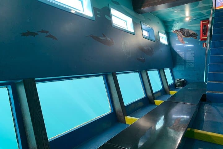 Dolphin and Whale Watching - Los Gigantes Masca - Lunch and Swim