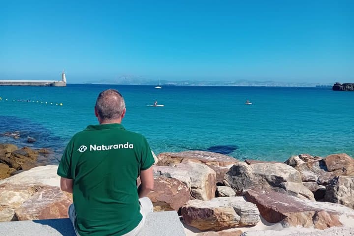 Tarifa Day Trip from Seville - Beach, Whales and Dolphins