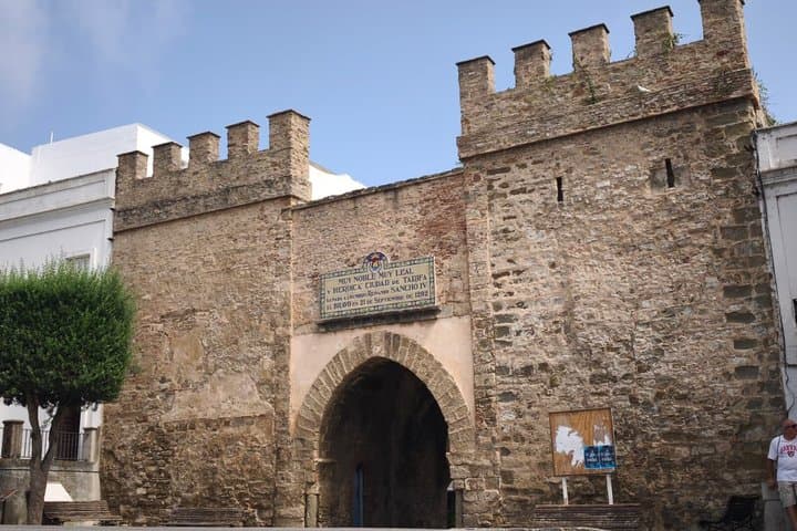 Tarifa Day Trip from Seville - Beach, Whales and Dolphins