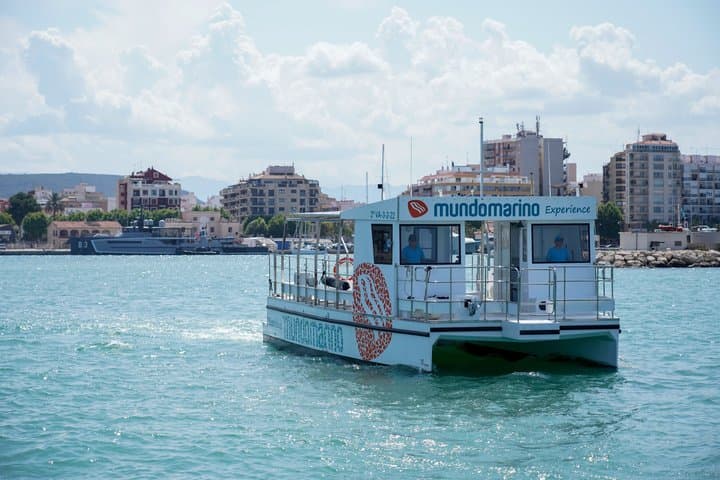 A Day at Sea by Catamaran from Calpe or Altea with Paella