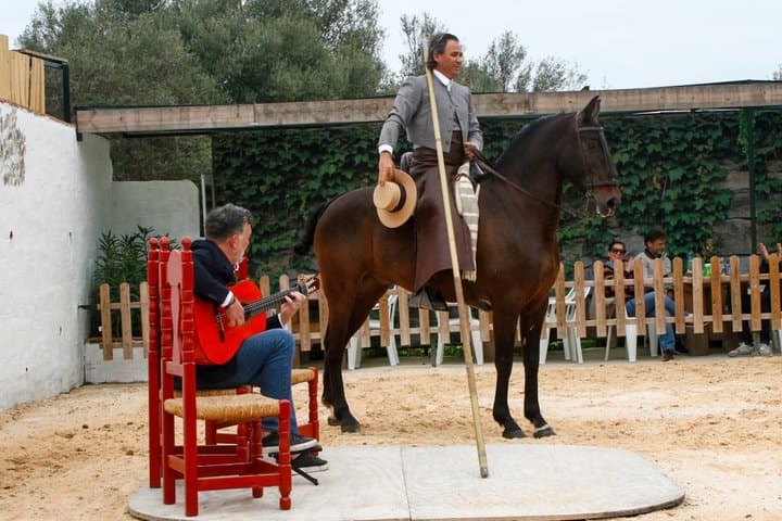 Authentic Dinner Experience Spanish Horses and Flamenco Fusion