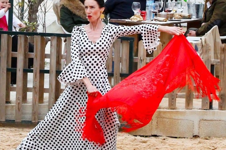Authentic Dinner Experience Spanish Horses and Flamenco Fusion